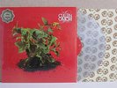 Cullen Omori- New Misery LP (NM Clear Vinyl 2016 ) Sub Pop Smith Westerns Indie