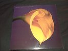 Swans The Burning World Vinyl LP