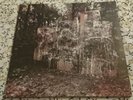 Wildlife von La Dispute (2011) Two Colour Double LP