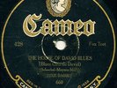 Dixie Daisies 78 