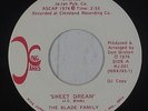 70s Soul Funk 45 - Blade Family - Sweet Dream/My Baby's Gone - King James NM mp3