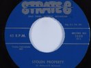 Blues 45 RICHARD BROTHERS Stolen Property STATE 8 Fortune VG++ HEAR