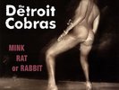 The Detroit Cobras - Mink Rat or Rabbit