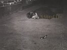 JOHN ZORN - NAKED CITY NEW VINYL