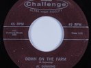 R&B Rocker Rockabilly 45 AL DOWNING Down On the Farm GA CHALLENGE HEAR