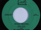 Rock Psych 45 STEVE ELLIS Whole Creation CASTLE HEAR