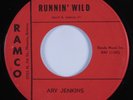 Rockabilly 45 ARV JENKINS Runnin' Wild RAMCO HEAR