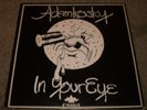 In Your Eye Adamkosky ULTRA-RARE 1973 Private Psych Folk Holy Grail FAST SHIP