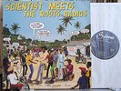 ++ Scientist Meets The Roots Radics ++