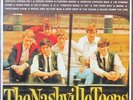 NASHVILLE TEENS Find My Way Back Home LP OG FRENCH NUMBERED PRESS MINT