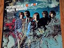 EXCELLENT Original Stereo Mercury LP BLUES MAGOOS 