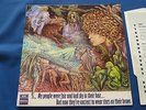 RARE ORIGINAL 1968 TYRANNOSAURUS REX VINYL MONO LP My people were fair +lyric sh