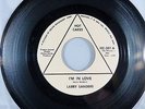Larry Sanders You're My Girl I'm In Love Hot Cakes 201 1960s Northern Soul VG+