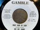 Dee Dee Sharp - What kind of lady / What kind of lady