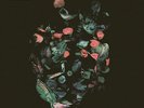 Guy Andrews - Our Spaces