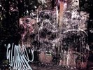 Wildlife - 2 DISC SET - La Dispute (2011, Vinyl New)