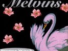 Melvins - Stoner Witch