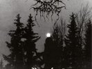 DARKTHRONE - Panzerfaust  LP