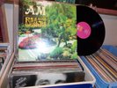 AM FUTURE SONS AND DAUGHTERS, LP RECORD