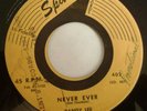 RARE ( TEEN DOO WOP 45 ) 1959 - RANDY LEE - NEVER EVER - SPANN 466