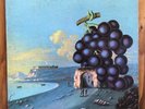 Moby Grape – WOW – Blues Rock-Psych Rock Vinyl LP – One 78 Track