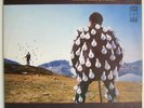 PINK FLOYD DELICATE SOUND OF THUNDER RUSSIAN *RARE* LP  MINT DIFF