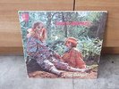 JIMMY CAMPBELL HALF BAKED VERTIGO SWIRL 1ST