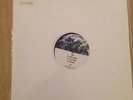 Prince Planet Earth Double Vinyl
