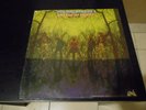 American Blues-Do Their Thing-Uni -Pre ZZ Top -Great Psych lp