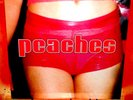 Peaches: The Teaches Of Peaches Vinyl LP. Rub. Impeach My Bush. I Feel Cream NEW