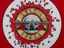 Guns and Roses Picture Disc Record 12