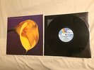 SWANS THE BURNING WORLD LP UNI/MCA PRESS 1989