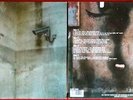 Banksy records art cover , Lp 