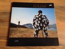 Pink Floyd ?– Delicate Sound Of Thunder vinyl record LP