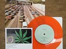 Best Coast 45, Sun Was High (So Was I) , lo-fi, indie pop, Cosentino, Bruno