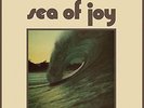 TULLY-SEA OF JOY-VINYL LP  NEU