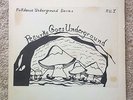 PECURKA GOES UNDERGROUND LP 1975 private press crude ethnic folk MUSHROOM psych