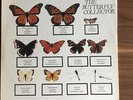 The Jam - The Butterfly Collector 2xLP RARE Live Paul Weller