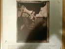 The Pixies-Surfer Rosa Vinyl Lp Album