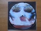 Benediction / return to the eve / Picture Disc / picture vinyl / Picture Single