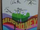 Mudhoney - Sonic Infusion - Sub Pop Records - Signed - 7 Inch
