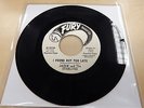 JACKIE & THE STARLITES I FOUND OUT TOO LATE/I'M COMING HOME FURY PROMO 45 SOUL