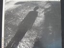 SHALOM HANOCH - ON THE FACE OF THE EARTH LP ISRAELI ISRAEL HEBREW ROCK 1983
