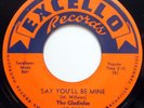 THE GLADIOLAS 45 Say You'll Be Mine / Shoop Shoop DOO WOP Original EXCELLO dm295