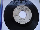 THE VICEROYS   LAST NIGHT YA HO RARE 45RPM