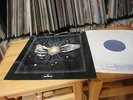 FLOCK INSIDE OUT 1975 PROG UK LP 1ST PRESS MINT  MERCURY