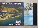 THE TRIFFIDS Born Sandy Devotional UK vinyl LP with inner sleeve Hot Records