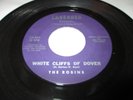 THE ROBINS White Cliffs of Dover 45 7