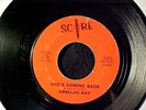 ARMAND KAY She's Coming Back RARE MICHIGAN ROCKER/POPCORN RAB 45 on SCORE Hear