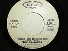 60s 45rpm Garage The BRIGANDS 